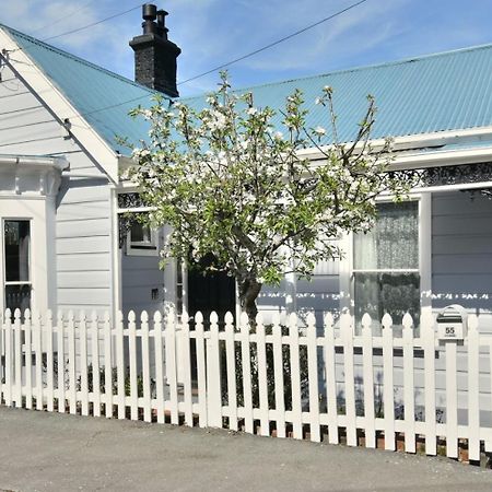 In Dunedin'S Heart, Full House, Full Sun, Full Chill, Why Stay At A Hotel When You Can Afford An Entire House Екстер'єр фото