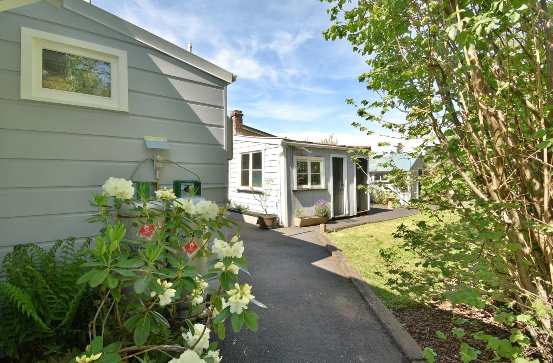 In Dunedin'S Heart, Full House, Full Sun, Full Chill, Why Stay At A Hotel When You Can Afford An Entire House Екстер'єр фото