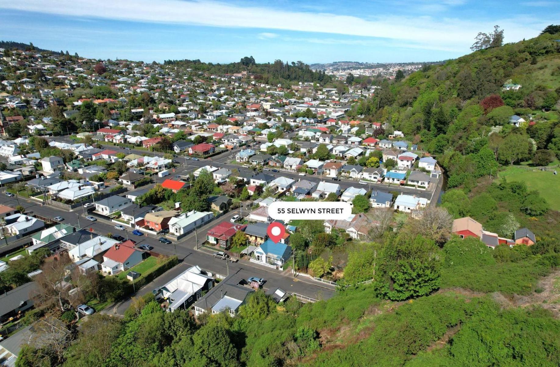 In Dunedin'S Heart, Full House, Full Sun, Full Chill, Why Stay At A Hotel When You Can Afford An Entire House Екстер'єр фото